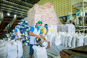 ข้าวหอมมะลิไทยออร์แกนิคพรีเมียมขายดี เมล็ดยาว สีขาว หอม กลิ่นหอม ได้รับการรับรองจาก USDA ปราศจาก GMO - Product Image 5