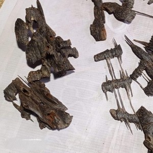 Incienso de Agarwood Orgánico 100% Ecológico de la Marca MTI, Exportable, Aroma Natural de Madera India, Fragancia Marrón Apari - Product Image 2