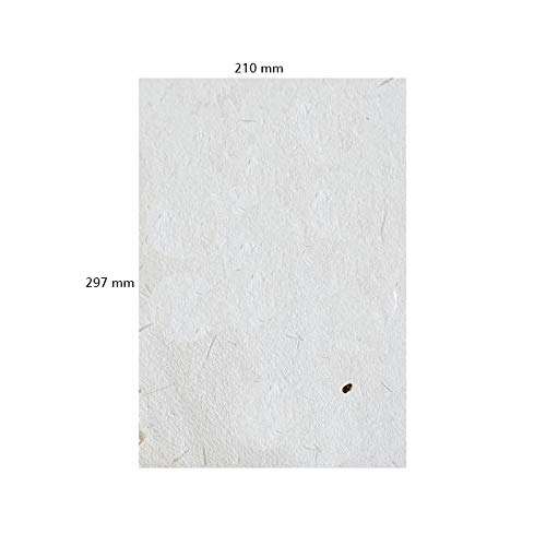 ตามที่แสดง