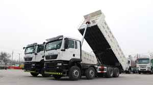 Camión Volquete Diésel Howo 8x4 Euro 2, 10 Ruedas, 11-20T de Carga, Volante a la Izquierda, Cámara Trasera, 251-350HP, 6-8L - Product Image 4