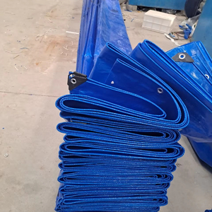 Bâche de PE dans le style simple 100gsm à la gamme 250gsm - Product Image 1