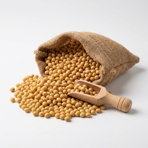 Semillas de Soja Premium Sin GMO de Alta Pureza para Agricultura Sostenible y Aplicaciones en la Industria Alimentaria - Product Image 3