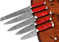 Couteau de Chef de cuisine personnalisé fait à la main, ensemble de couteaux de cuisine pour barbecue en acier damas