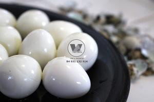 AVAILABLE 425g Farm Fresh Canned Quail <b>Eggs</b> in Brine Tinned Peeled Quail <b>Egg</b> Fast Prepare for Hotpot Soup Baozi Daily Snack Use - Product Image 6