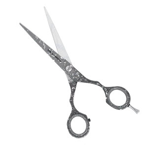 Lames droites et affûtées pour la coupe de cheveux, instruments de beauté, instruments de soins de beauté, ciseaux de coiffure en acier inoxydable de 10 pouces - Product Image 1