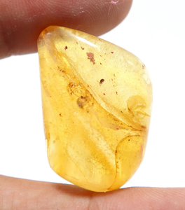 Cabochon lisse en ambre naturel de la Baltique avec pierre précieuse d'ambre en vrac - Product Image 3