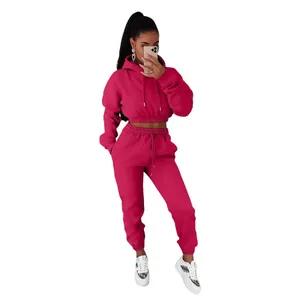 Conjunto de 2 Piezas de Sudadera con Capucha y Forro Polar para Mujer, Estilo Casual, Otoño/Invierno, Origen China - Product Image 2