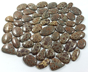 Fournisseur de pierres précieuses en vrac de jaspe astéroïde naturel, cabochons, pierres à facettes, cristal, export en gros, Inde - Product Image 1