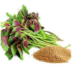 YAMUNA Hoja de Amaranto Verde Orgánica Nutritiva, Producto Agrícola Seco - Product Image 5