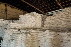 Wholesale Non-GMO Granulated Tapioca <b>Starch</b> Glue Adhesive Production Industrial Grade Powder Bulk Vietnam Origin Bag 25kg - Product Image 5
