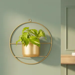Jardinière murale ronde en métal doré avec cadre circulaire |   Porte-pot de fleurs décoratif moderne pour la décoration intérieure de la maison - Product Image 6