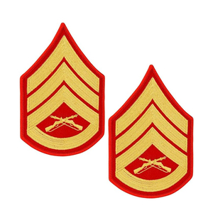 Insignia Chevron de Nueva Generación para Venta: Uniforme Profesional de Chevron con Insignia de Nombramiento y Ejecución Coordinada - Product Image 1