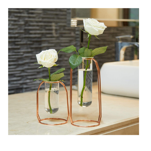 Vase à plantes, vase à fleurs, vase en verre, vases décoratifs, lot de 2, idéal pour les fleurs artificielles, botanique - Product Image 1