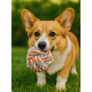 Juguete para Mascotas de Cuerda Trenzada Multicolor Yommy, 7.5 cm, Juguete Dental para Perros, 3 Modelos Interactivos y de Movimiento - Product Image 5