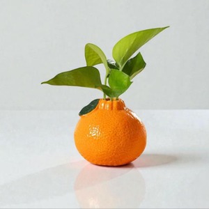 Ensemble de vases en céramique orange, décoration de table moderne, design fruité émaillé, 4-8 pouces, exquis et durable - Product Image 2