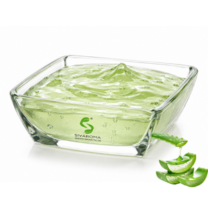 Extracto Líquido de Hoja de Aloe Vera Silvestre de Alta Calidad, Grado Alimenticio, Fabricante, Exportador, Proveedor a Granel, Abastecimiento Global de Ingredientes B2B - Product Image 3