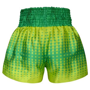 Shorts de combat Muay Thai brodés sur mesure, shorts de Muay Thai de haute qualité pour la compétition et l'entraînement - Product Image 2