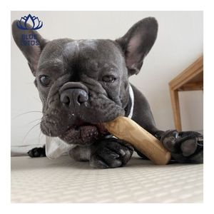 MUY SOLICITADO: Juguete Masticable de Madera de Café para Perros, Juguete Resistente que Promueve el Cuidado Bucal y Reduce la Ansiedad 2026 - Product Image 1