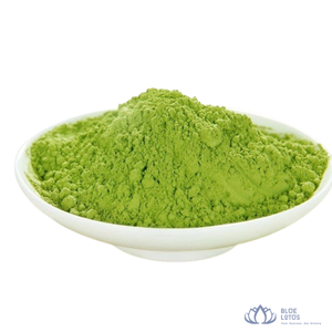 MÁS VENDIDO |   Matcha en Polvo Fino, Té Verde en Polvo para Bebidas, Repostería, Latte, Pasteles y Postres, Suministro de Vietnam - Product Image 1