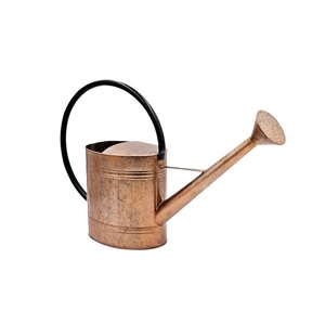 Indian Supplies Iron Metal Watering <b>Cane</b> Rustic Galvanized Finished Flower Planter Holder for Home Outdoor <b>Garden</b> Use Water Cans - Product Image 6
