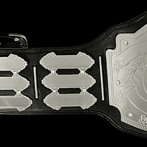 Ceintures de championnat légères de haute qualité pour la lutte, ceintures de championnat personnalisées pour l'entraînement martial - Product Image 3