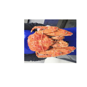 CRABE ROYAL ENTIER CUIT SURGELÉ EN PROMOTION ET À BON PRIX POUR LA VENTE EN GROS - Product Image 6