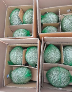 Precio barato Los más vendidos Iqf Standards Frozen Durian Premium Export Grade Durian - Product Image 3