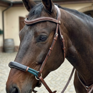 Brida de cuero premium sin bocado para caballo, con narigueña acolchada suave, frente de cuero con cuerda trenzada verde, equipo ecuestre - Product Image 2