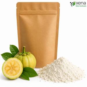 Proveedor Premium de Ingredientes para el Control de Peso, Extracto de Fruta de Garcinia Cambogia en Polvo, Materia Prima Botánica Estandarizada - Product Image 3