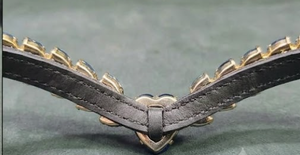 Élégante muserolle en cuir noir avec pierres bleues facettées et bordure dorée pour l'équitation western, modèle CB-96, provenant de l'Uttar Pradesh - Product Image 4