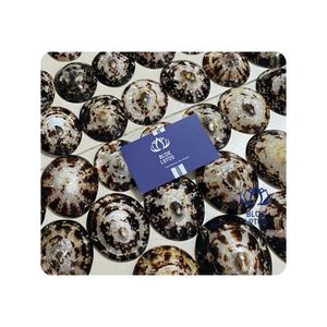 Concha de Limpet para Manualidades y Decoración Costera, Superficie Limpia, Forma Única, Ideal para Trabajos Creativos, MÁS VENDIDO - Product Image 1
