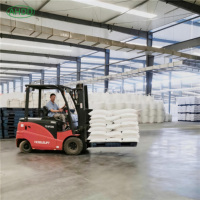 Bicarbonate de soude de qualité alimentaire, pureté 99 %, poudre NaHCO3, sac de 25 kg pour la levée du pain et la boulangerie