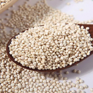 ควินัวคุณภาพสูง พร้อมส่ง ขายส่งเกรดอาหาร ขายส่งจำนวนมาก คุณภาพพรีเมียม สำหรับส่งออก - Product Image 1