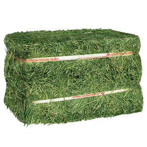 Stock frais de foin d'alfalfa de qualité supérieure pour chevaux et bovins, vente en gros en vrac d'Afrique du Sud - Product Image 6