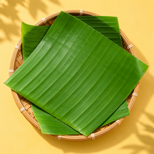 Feuilles de bananier surgelées en gros, qualité supérieure, offre en vrac, offre spéciale, meilleures ventes, feuille naturelle d'emballage, produit d'exportation / Mme Alina - Product Image 1