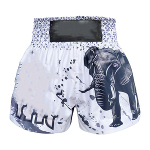 Custom Wholesale Boxing Shorts for Men New Design Sportswear <b>Boxer</b> Style Lightweight Quick Dry Breathable - Product Image 1