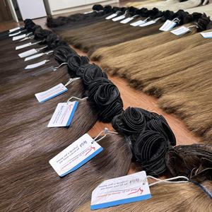 Super promotion : Extensions de cheveux naturels Remy vietnamiens, tissées à la main, double trame, toutes couleurs, prêtes à être expédiées - Product Image 6