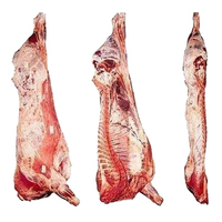 Carcasse de mouton halal congelée entière de haute qualité, procédée par IQF, 25 kg, nourrissante, avec une durée de conservation de 2 ans