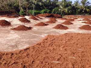 Turba de Coco Orgánica para Jardinería y Agricultura - Product Image 3