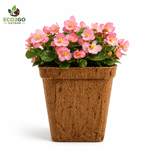 Pot en fibre de coco de haute qualité en carton glacé, design personnalisé, pot à fleurs écologique de Eco2go Vietnam - Product Image 1
