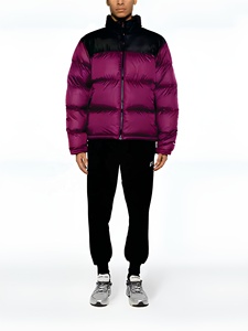 Blouson matelassé pour homme, couleur violette, coupe-vent, fermeture éclair, col montant, manteau d'hiver décontracté, rembourrage épais en polyester 2026 - Product Image 5