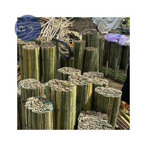Postes de Bambú Ecológicos de Alta Calidad para Jardín, Soporte para Plantas, Bambú Azul Personalizable - Product Image 1