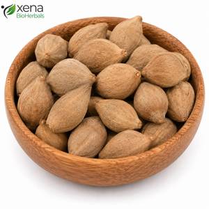 Proveedor de Productos Naturales, Fruta de Terminalia Belerica, Materia Prima Botánica para Productos Herbales - Product Image 2