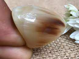 Anillo de Cuerno Pulido Hecho a Mano de Estilo Tribal Tradicional, Ecológico, con Diseño Moderno y Minimalista para Mujeres y Hombres - Product Image 2