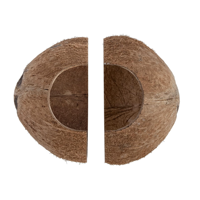 Abri Naturel en Noix de Coco pour Reptiles, Grotte de Reproduction pour Lézards, Araignées et Poissons d'Aquarium, Maison en Noix de Coco Naturelle du Vietnam