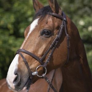 บิตสำหรับขี่ม้า ALR EQUESTRIANS แบบสั่งทำพิเศษ พร้อมโลโก้  ทำจากหนังแท้คุณภาพสูง ทนทาน เหมาะสำหรับกีฬาขี่ม้าแบบตะวันตก ปรับขนาดได้ - Product Image 1