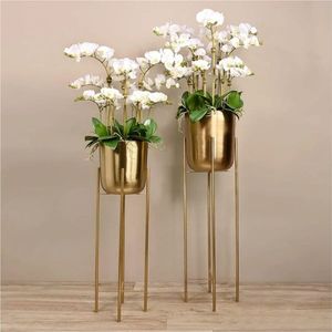 Soporte Moderno para Plantas de Metal Dorado, de 4 Niveles, para Múltiples Plantas, Soporte de Piso para Interiores, Estante para Macetas, Decoración para Sala de Estar y Hogar - Product Image 5
