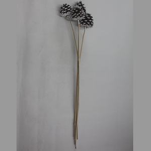 Bâton décoratif en pin botanique à pointe blanche Latoo pour la décoration de la maison, d'aquariums, de projets DIY et de bouquets - Product Image 3