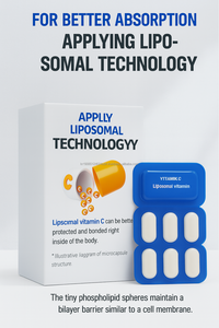 แท็บเล็ตวิตามินซี liposomal ของเกาหลี30จำนวนพร้อมสูตรต้านอนุมูลอิสระที่มีอยู่ - Product Image 4