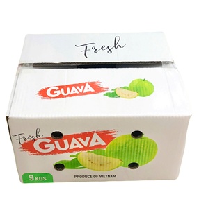 Boîtes auto-érectiles en carton ondulé recyclé imprimé en offset à 5 couches, personnalisables OEM, pour l'emballage des fruits, l'expédition agricole par voie aérienne - Product Image 1